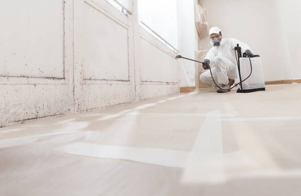 24/7 Emergency Attic Mold Removal experts in Lebanon, KY
